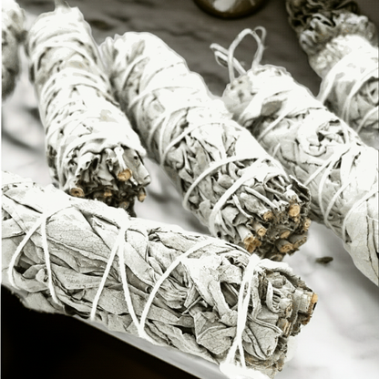 6 pack of white sage bundles