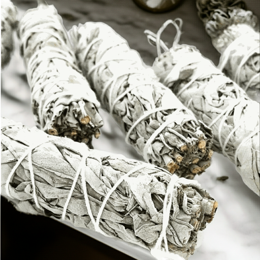 6 pack of white sage bundles